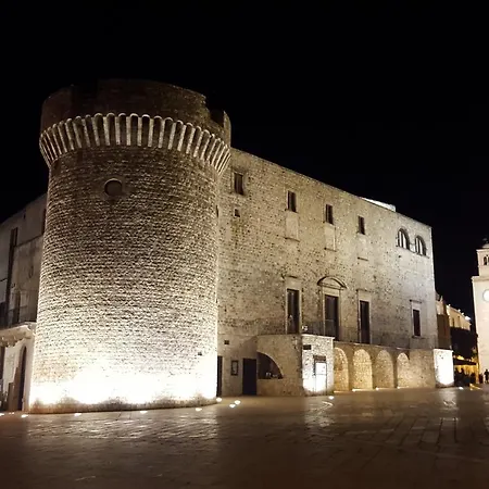 D'Aragona 56-3